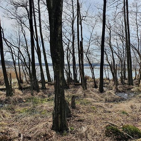 Mtk Pokoje I Apartamenty Smołdzino Buitenkant foto