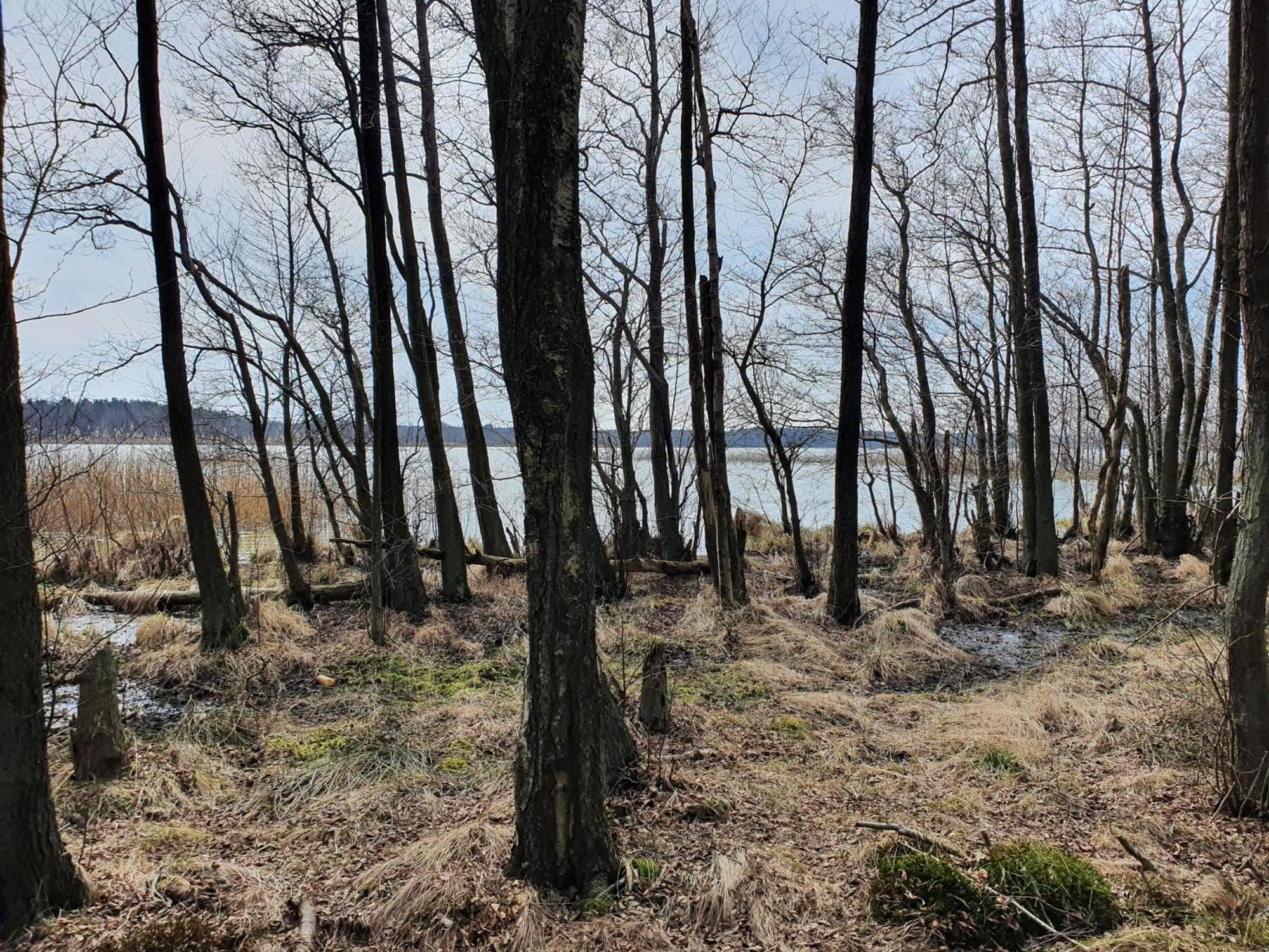 Mtk Pokoje I Apartamenty Smołdzino Buitenkant foto