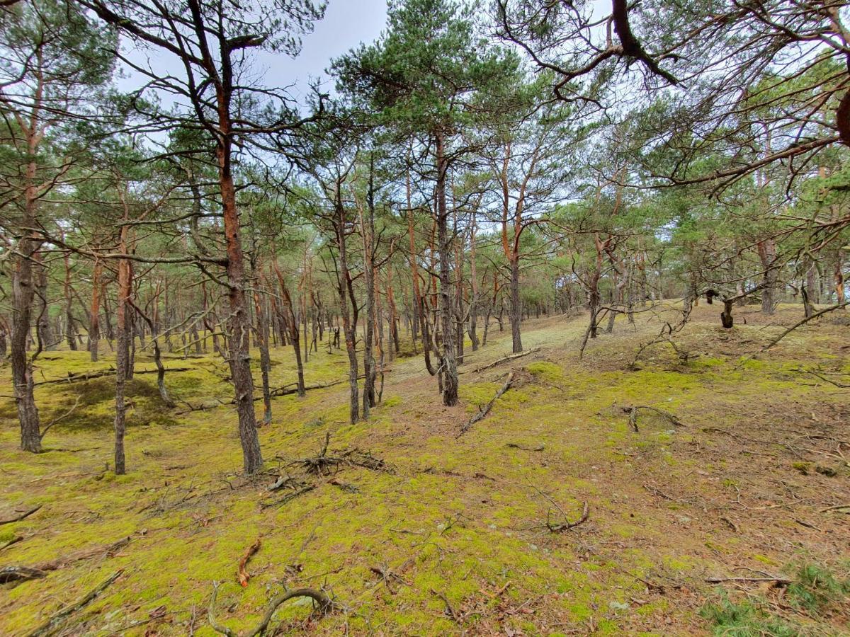 Mtk Pokoje I Apartamenty Smołdzino Buitenkant foto